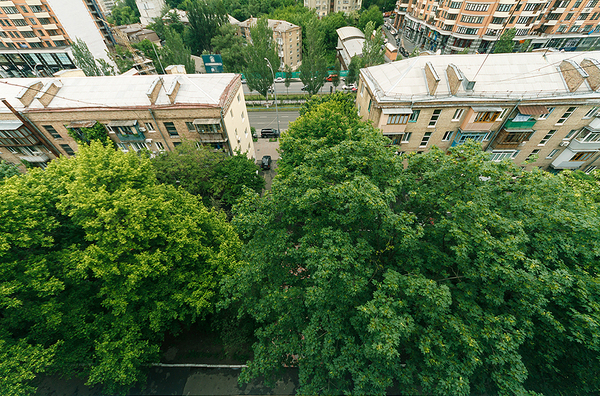 буль. Леси украинки 16 а | Фото - 16
